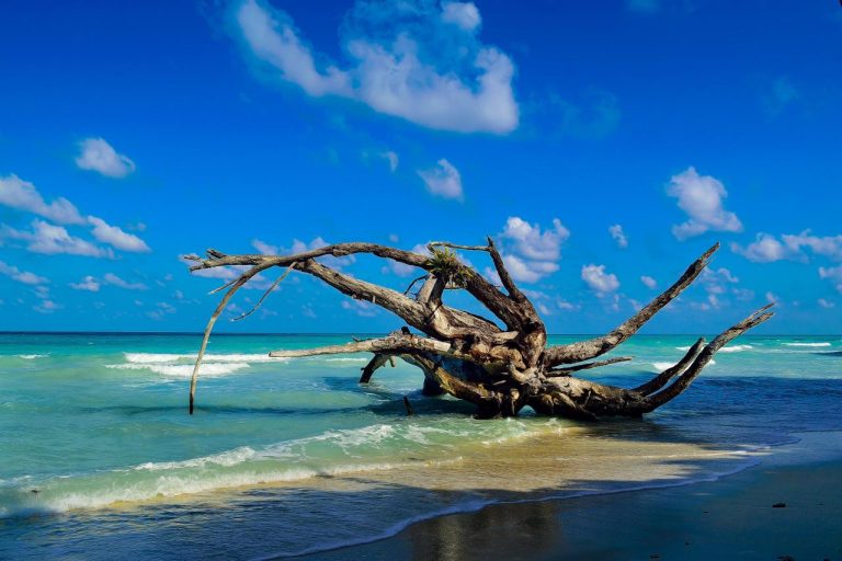 6011cad4c9f27765759f6600_kalapathar-beach-havelock-island-