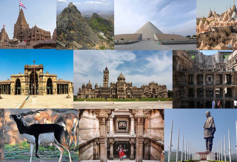 Tours and Travels Near Me